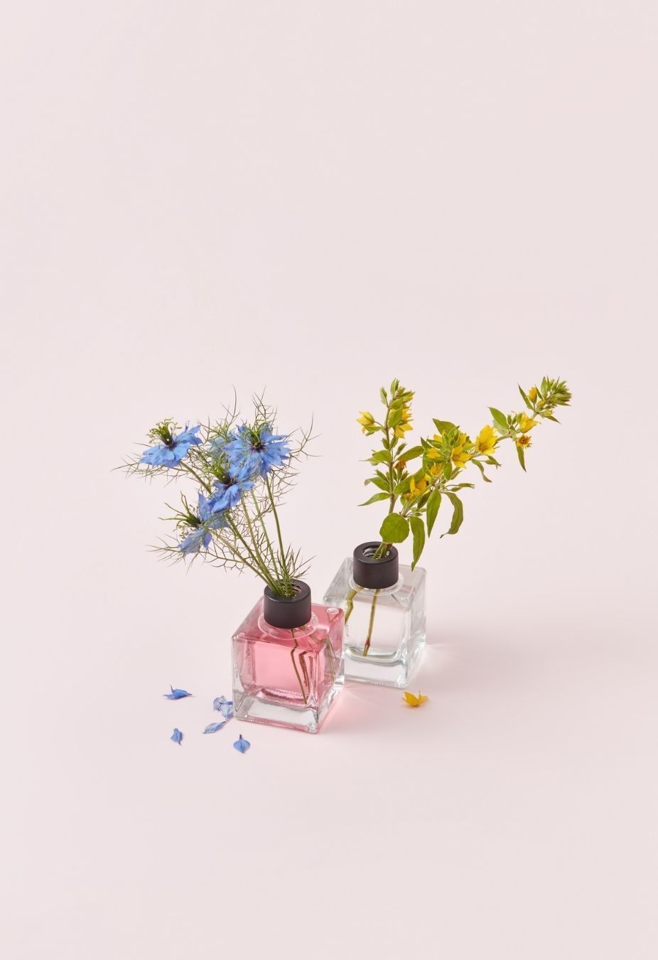 Bloom Wild Flower (дикі квіти) 100 мл