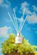 AROMA BLOOM Grape's sun (Сонячний виноград) 100 ml